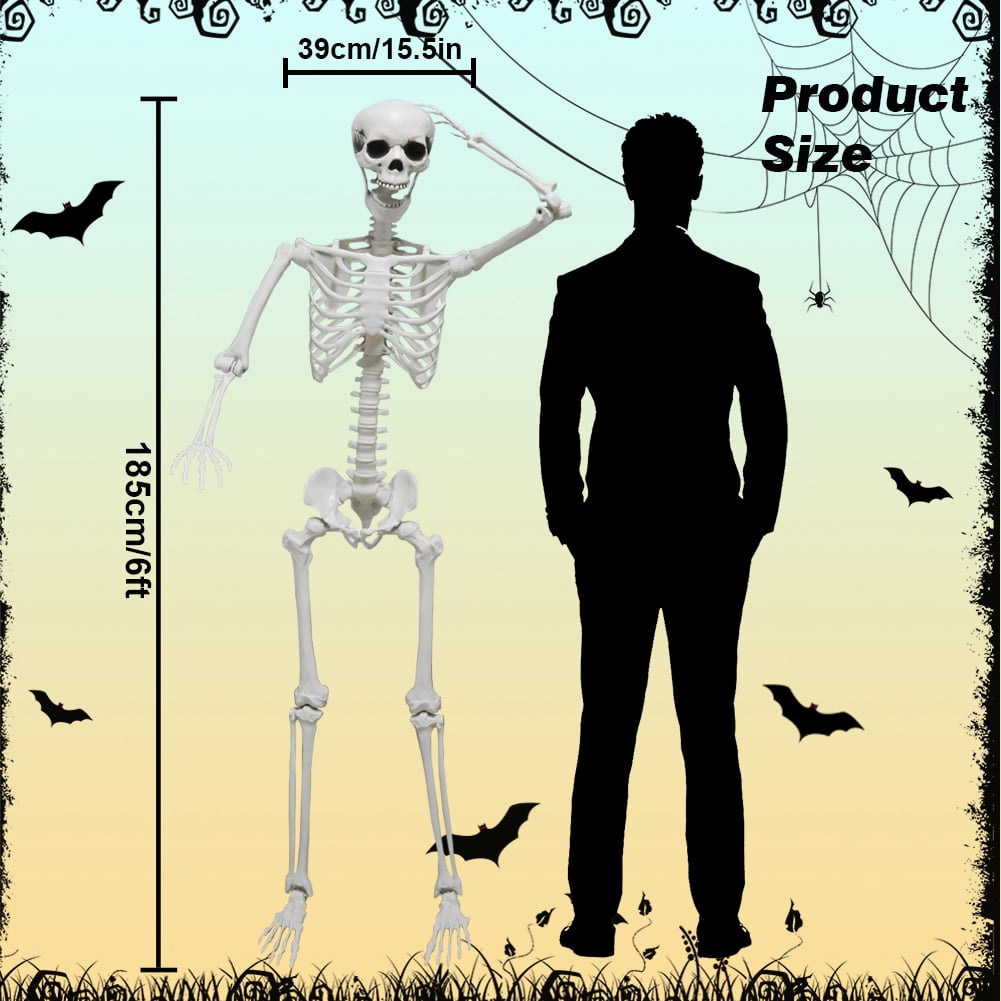 5.9FT Poseable Skeleton, Full Size Human Skeleton with Movable Joints for Halloween