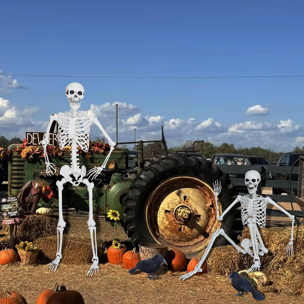5.4ft/165cm Halloween Skeleton with Realistic Crows Full Body Plastic Human Bones with Movable Joints for Indoor Outdoor Halloween Decor