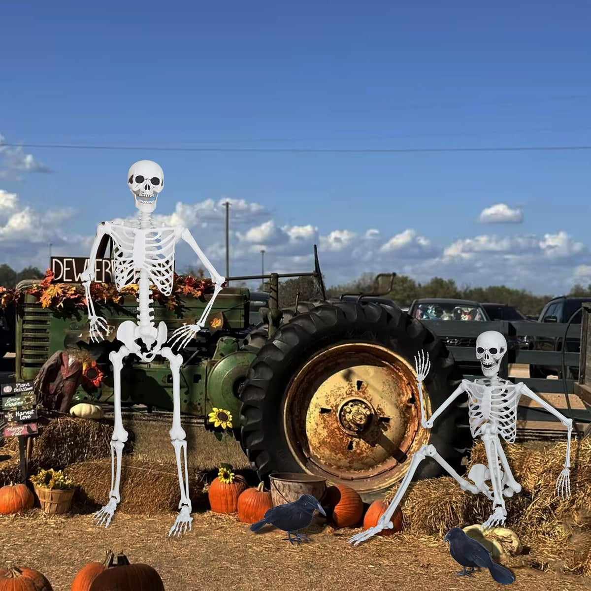 5.4ft/165cm Halloween Skeleton with Realistic Crows Full Body Plastic Human Bones with Movable Joints for Indoor Outdoor Halloween Decor