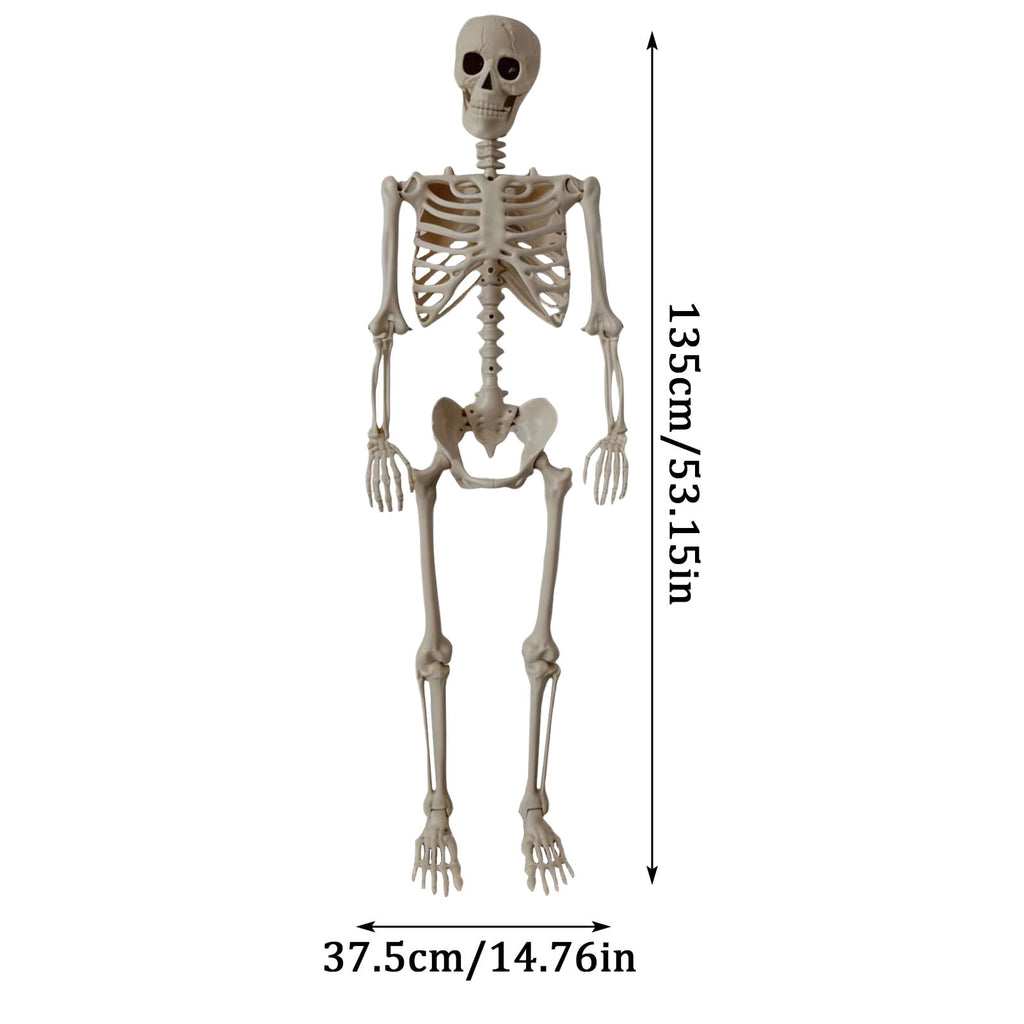 Halloween Skeleton Decorations, 53" Realistic Full Body Movable Posable Joints Skeleton, Creepy Halloween Skeleton for Graveyard Decorations, Haunted House Props Indoor/Outdoor Decor