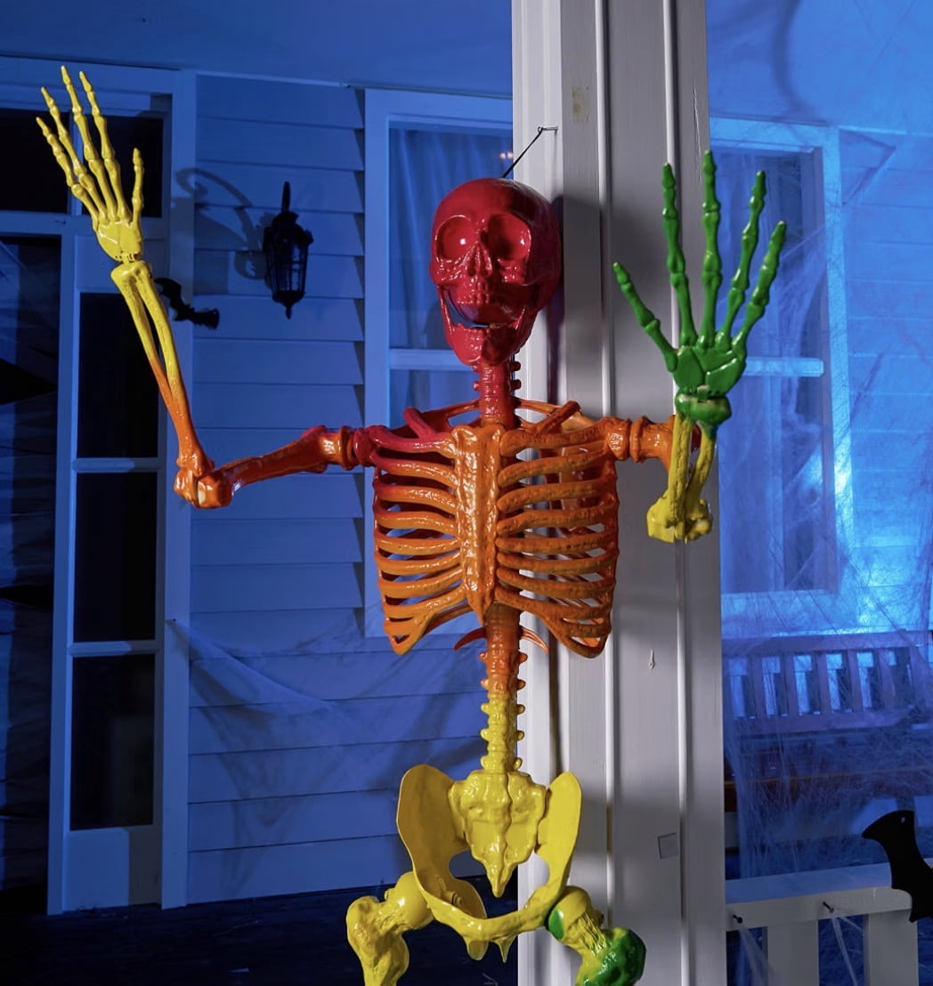 5.6 ft Halloween Posable Life Size Rainbow Skeleton