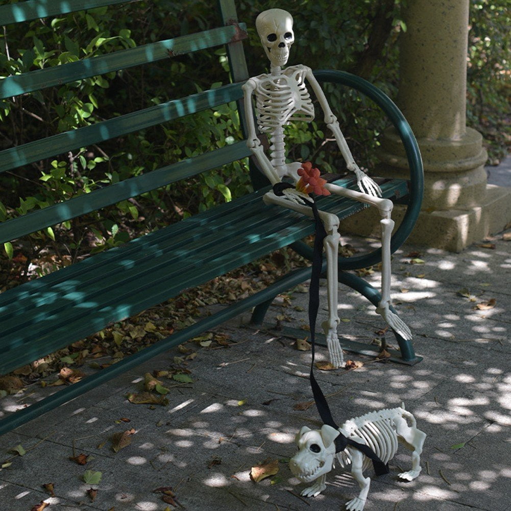 Slccxzc Halloween Skeleton Decoration Full Body Movable Joints with Dog Skeleton