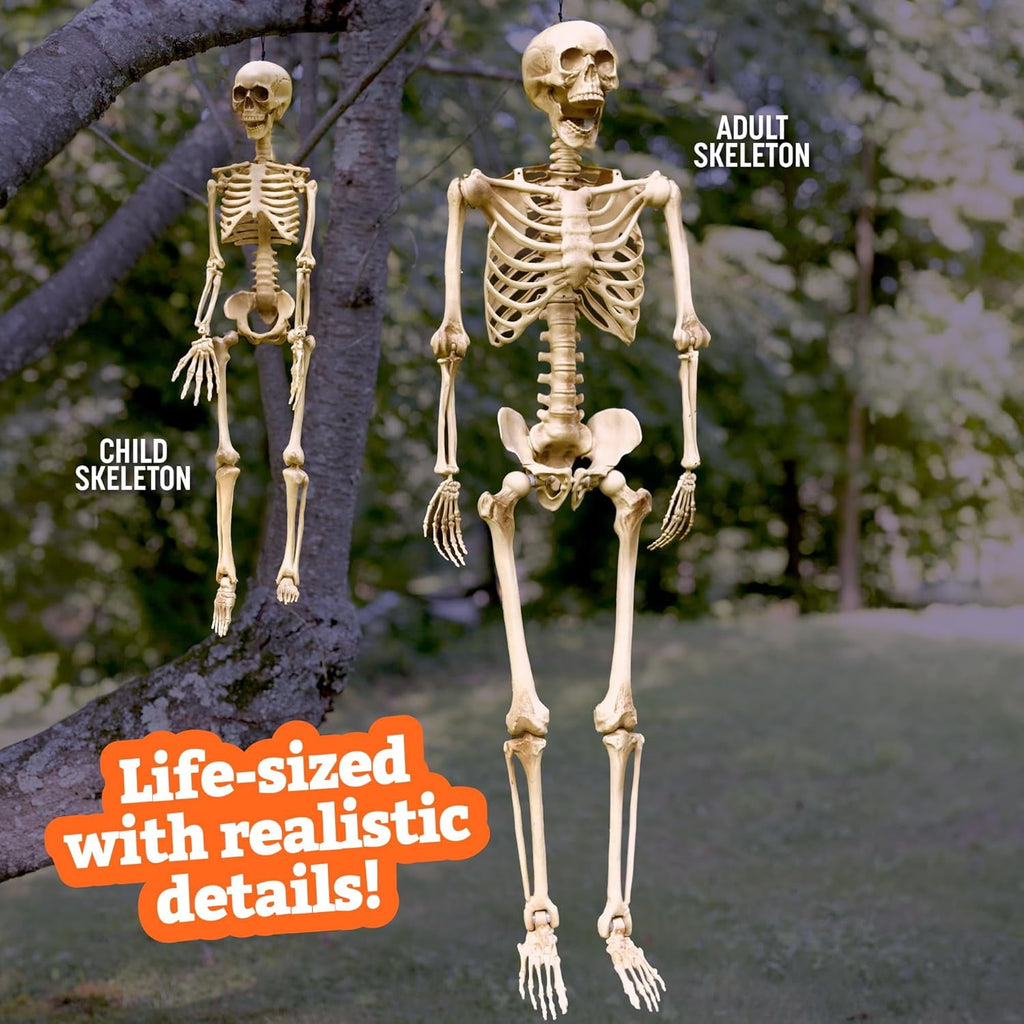 Halloween Human Adult (5' 4") & Child (3') Skeleton Value 2 Pack - Life Size, Articulated Limb, Weather Resistant Indoor/Outdoor Decoration, Classroom