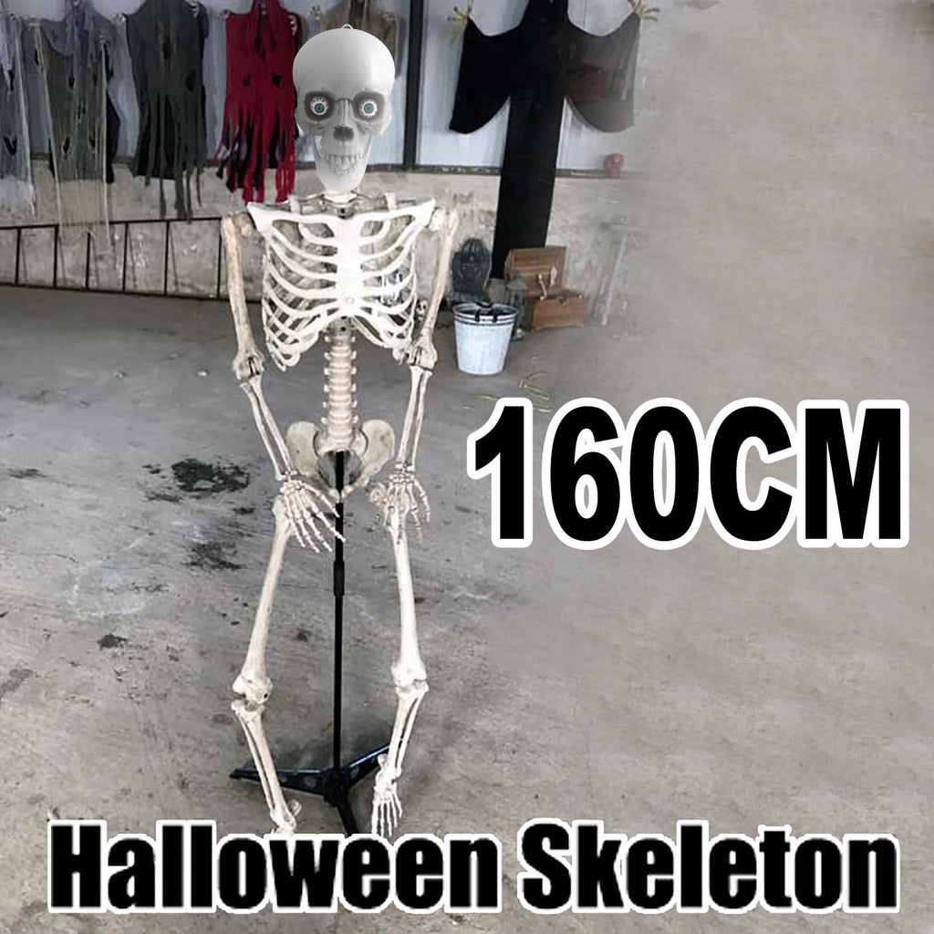 FAMTKT 63inch Halloween Skeleton Halloween Decorations, Halloween Skeleton Prop Human Full Size Skull Hand Life Body Anatomy Model Decor Skull Party Decorations