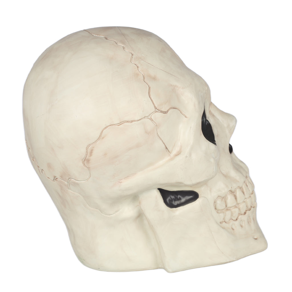 Seasons 17" Giant Skull Halloween Decorative for Crazy Bonez Skeleton Line, Large