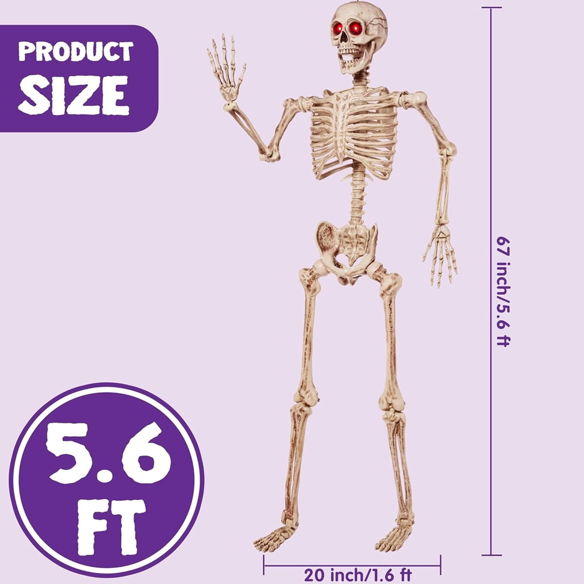 JOYIN 5FT Halloween Posable Skeleton with LED Red Glowing Eyes