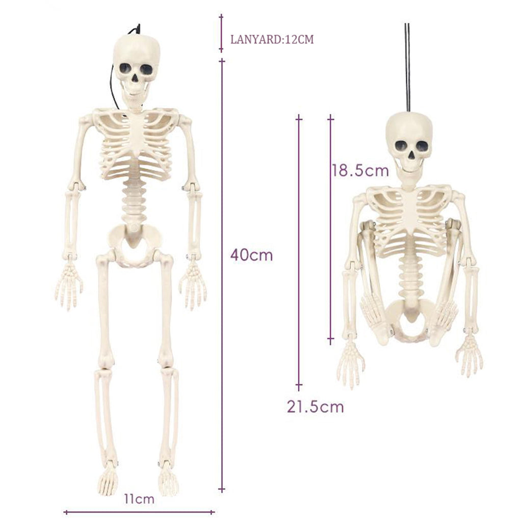 Posable Plastic Human Skeleton Prop 5.4FT Full Body Halloween Skeleton Decor with Movable Joints for Haunted House Yard Party Decoration